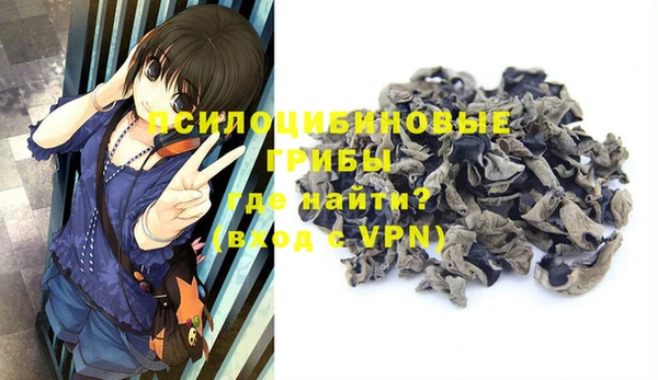 соль ск Переславль-Залесский