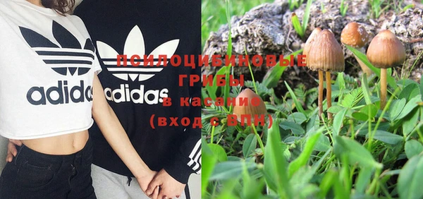 соль ск Переславль-Залесский